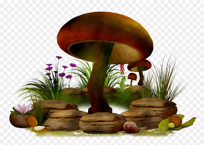 png图片剪辑艺术蘑菇图像真菌