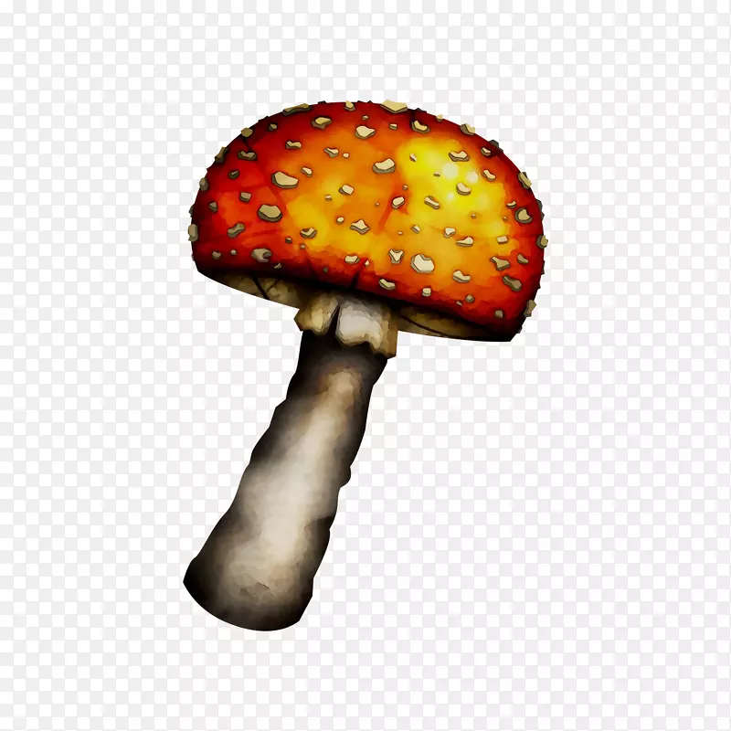 蘑菇橙S.A.