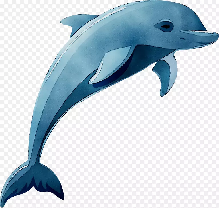 海豚图形剪贴画卡通