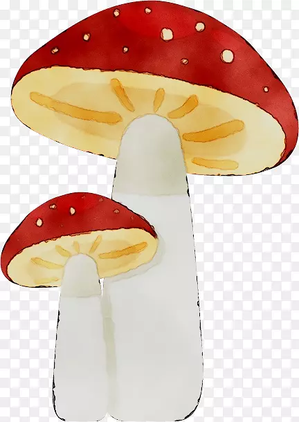 产品设计橙色S.A.