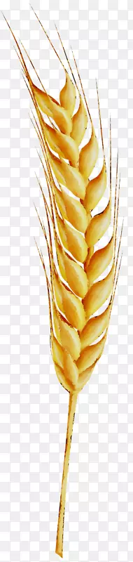 麦草png图片谷物图像