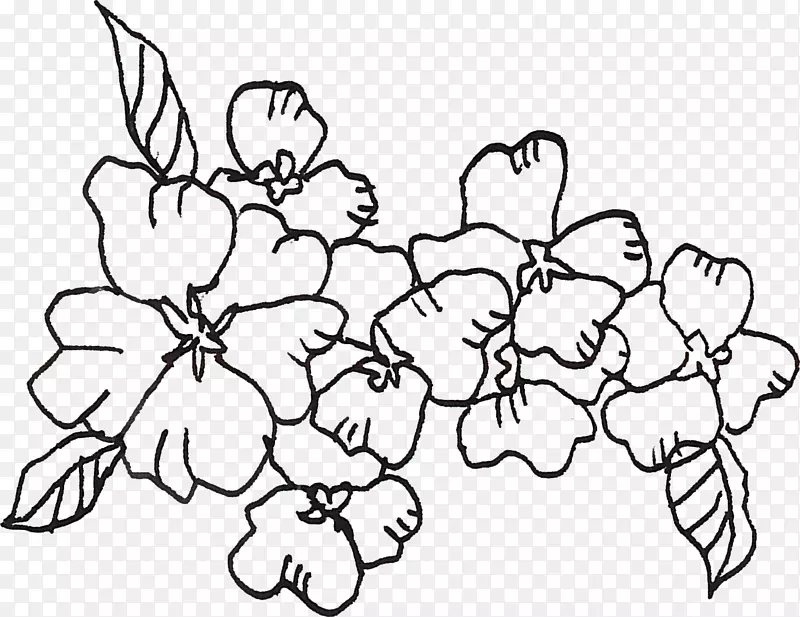 绘制png图片图像艺术花卉设计.花卉绘图PNG线