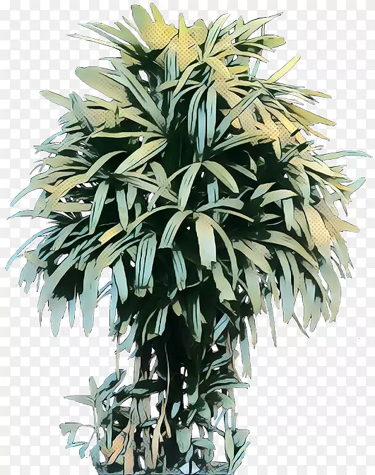 棕榈树花盆植物