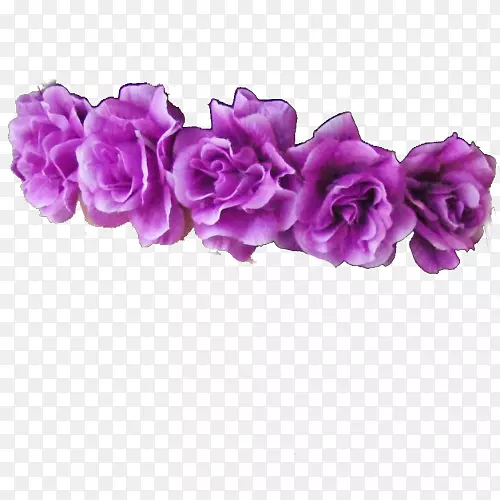 皇冠花紫色png图片玫瑰冠