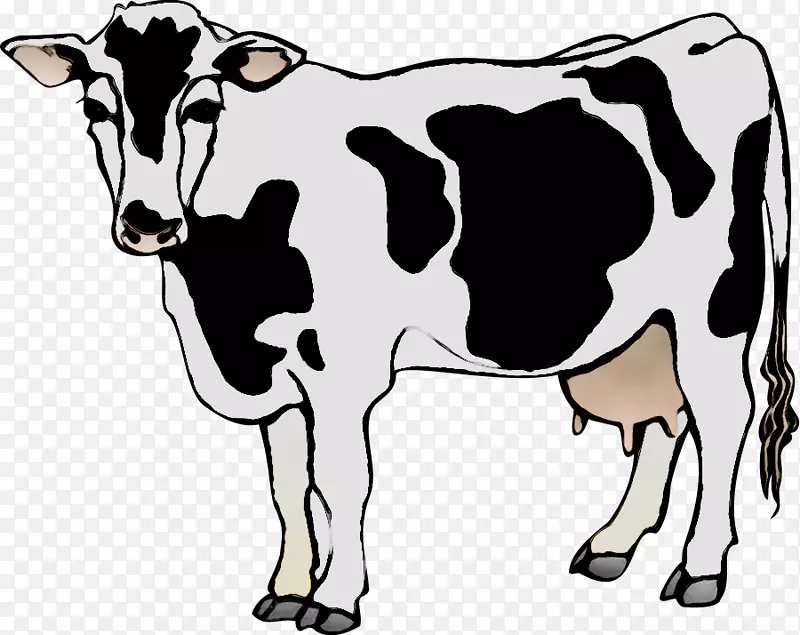 剪贴画，png图片，奶牛，安格斯牛，荷斯坦牛，弗里西亚牛