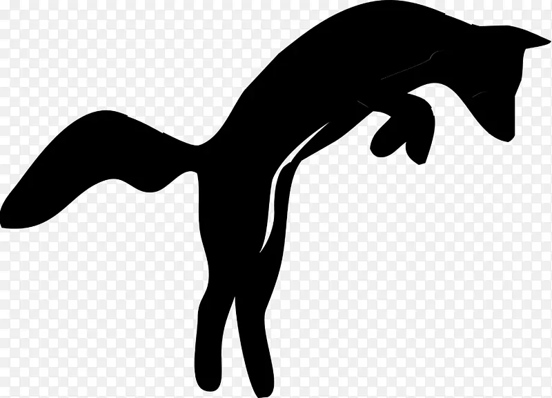 猫夹艺术狗犬科