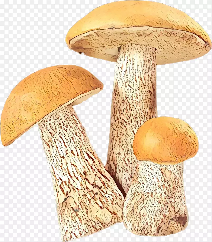 白灵菇png图片蘑菇图像