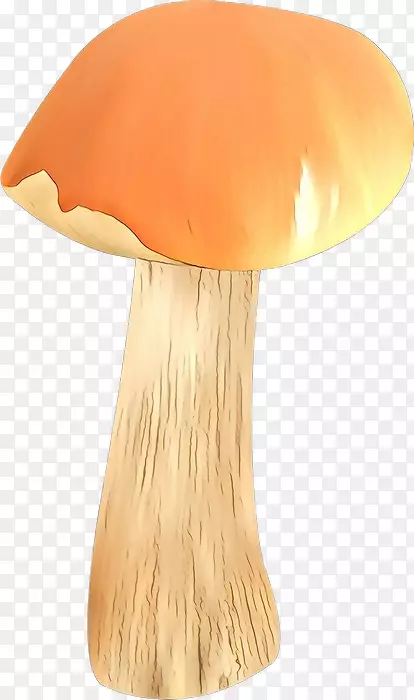 产品设计蘑菇橙S.A.