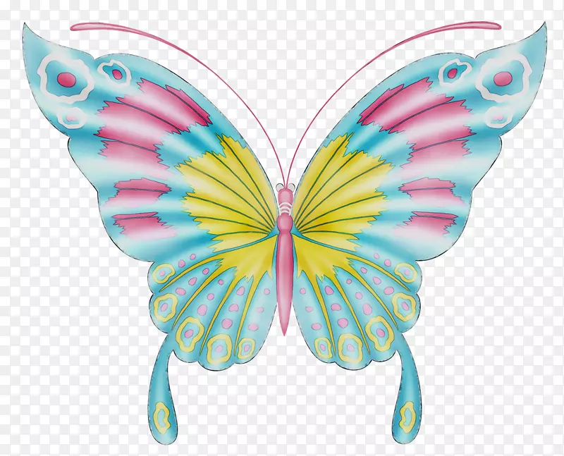 蝴蝶，毛刷，蝴蝶，剪贴画，png网络图像