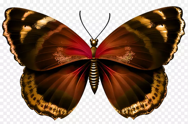 昆虫紫色png图片粉红玻璃翼蝴蝶-昆虫