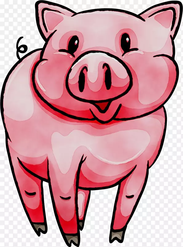猪图形版税-免费摄影插图