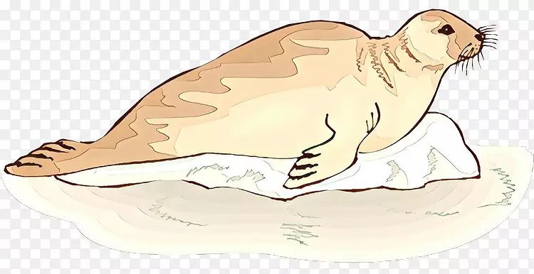 海狮剪辑艺术插图/m/02 csf hare