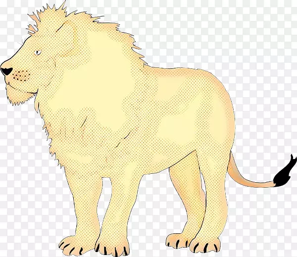 狮子大猫剪贴画陆地动物
