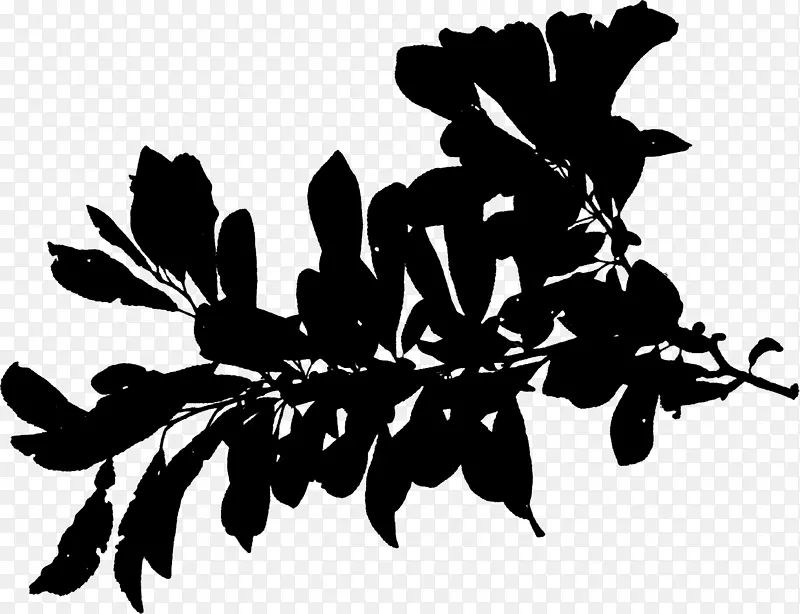 植物茎轮廓叶字体黑色