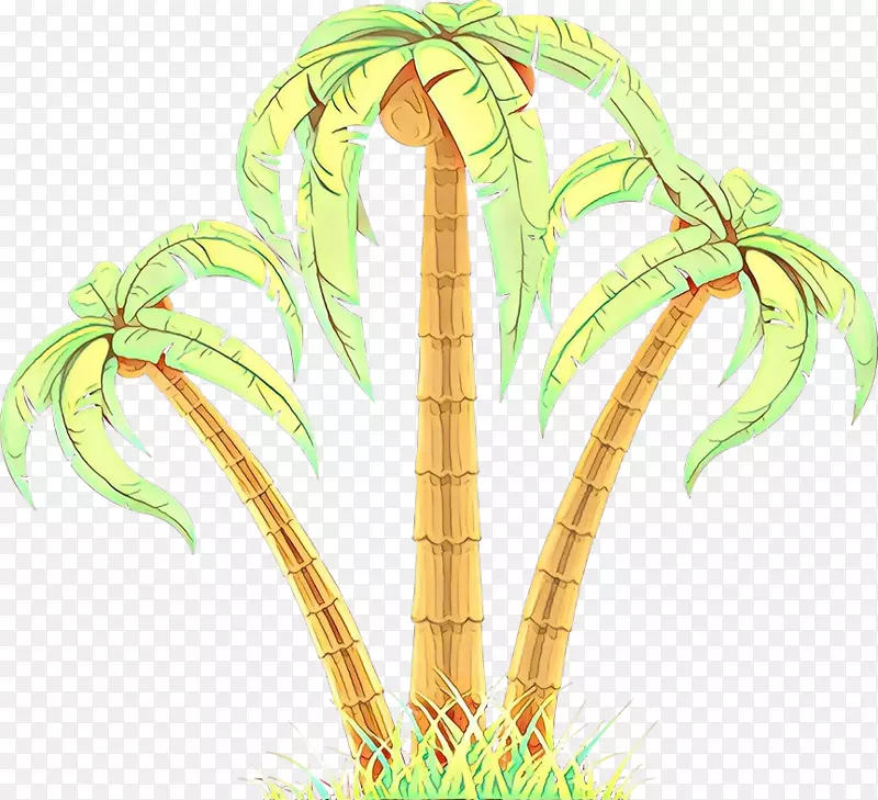 棕榈树植物茎草插图
