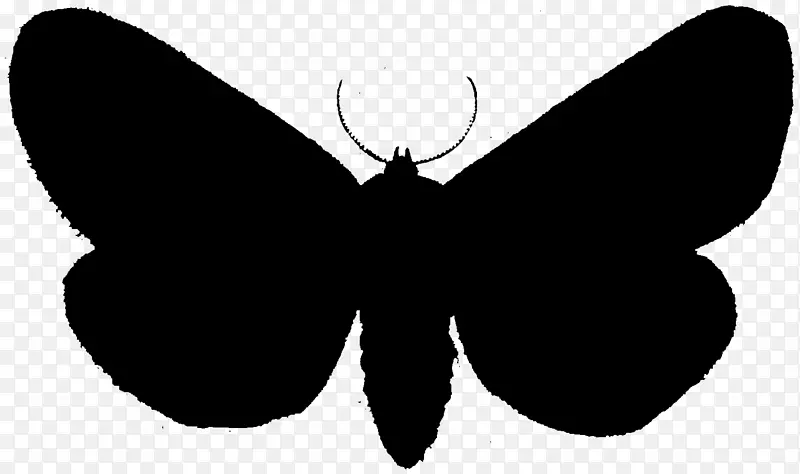 毛茸茸的蝴蝶，飞蛾，剪贴画，黑色剪影