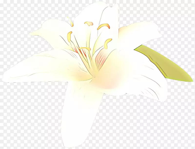 花卉设计静物摄影剪花
