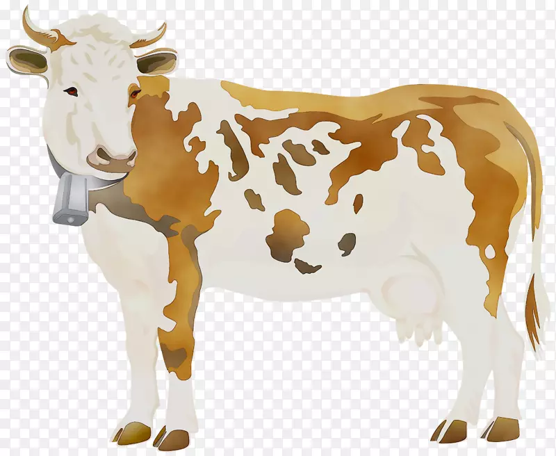 荷斯坦弗里西亚牛夹艺术png图片安格斯牛透明度
