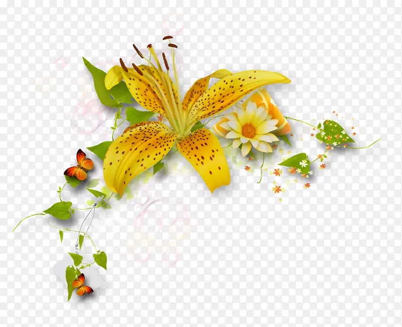花卉png图片图像绘制博客-集群图标