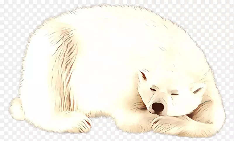 胡须狗北极熊北极狐猫