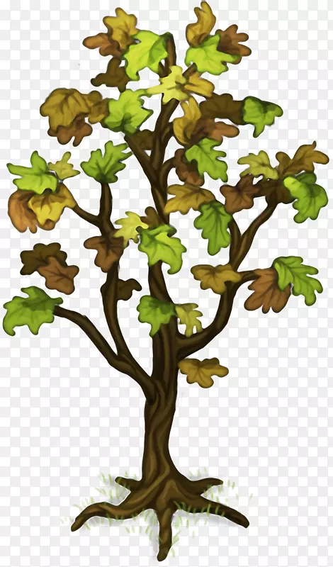 植物岛png图片图像小枝wiki-png植物树