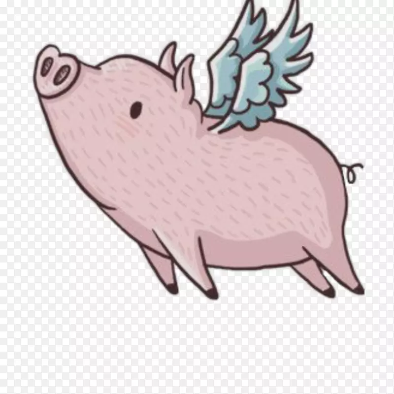 猪翅膀图像猪飞时的微型猪