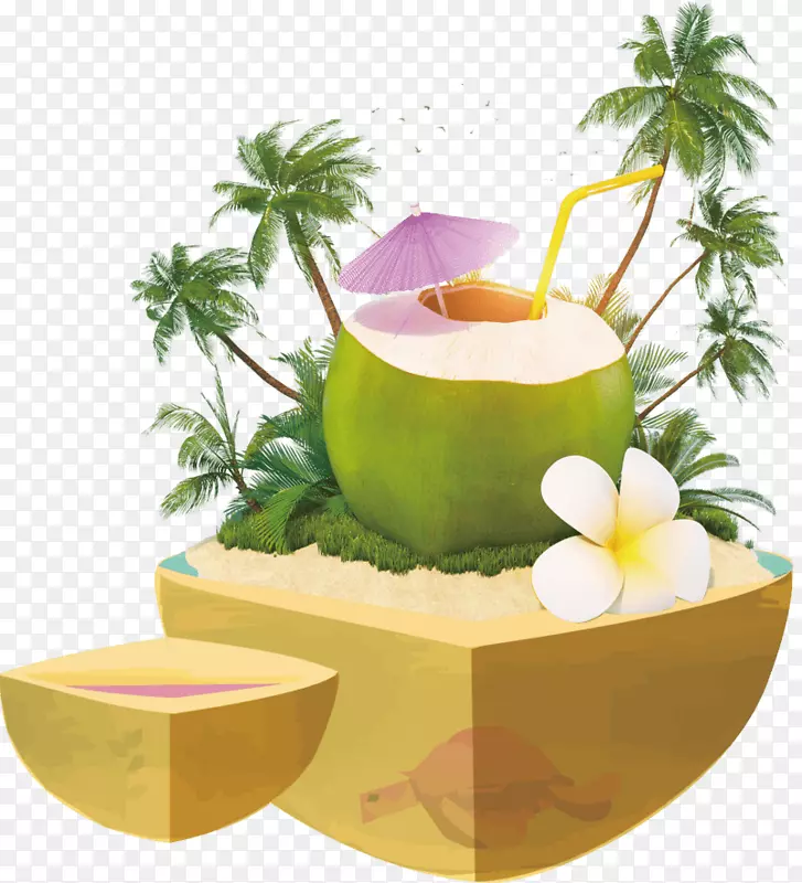 椰子水椰奶鸡尾酒汁.椰子汁装饰
