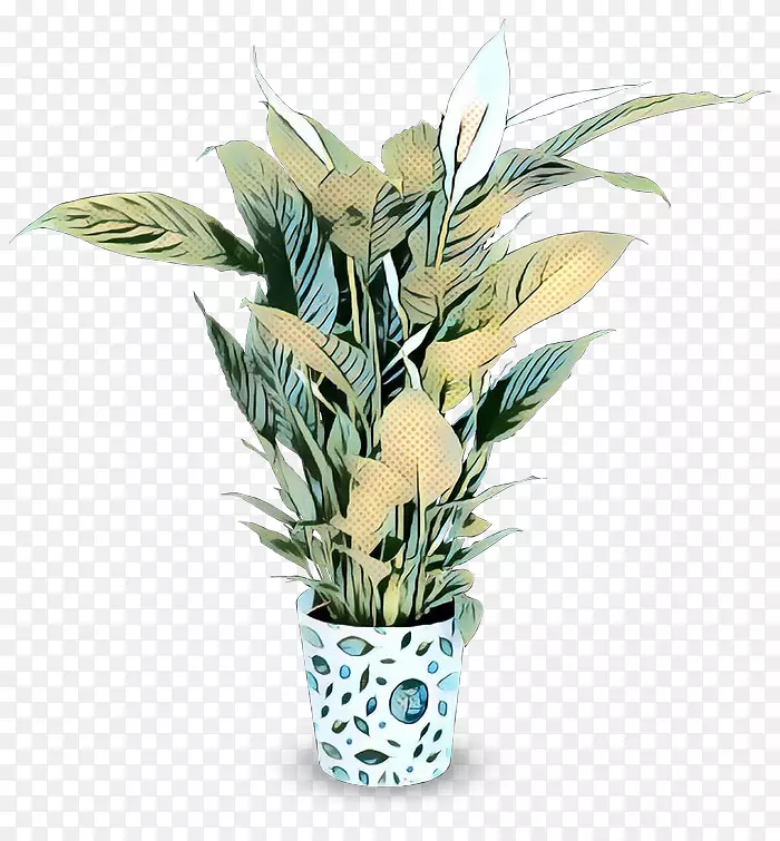 室内植物疗法花盆植物和平百合