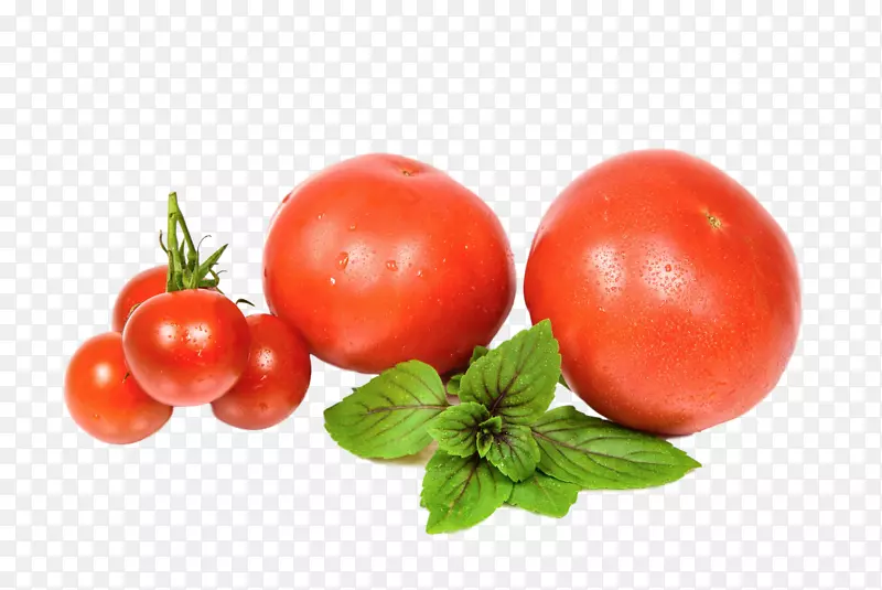 番茄有机食品配方沙拉