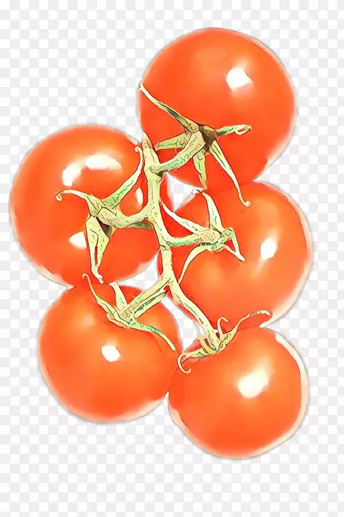 李子番茄樱桃番茄水果食品