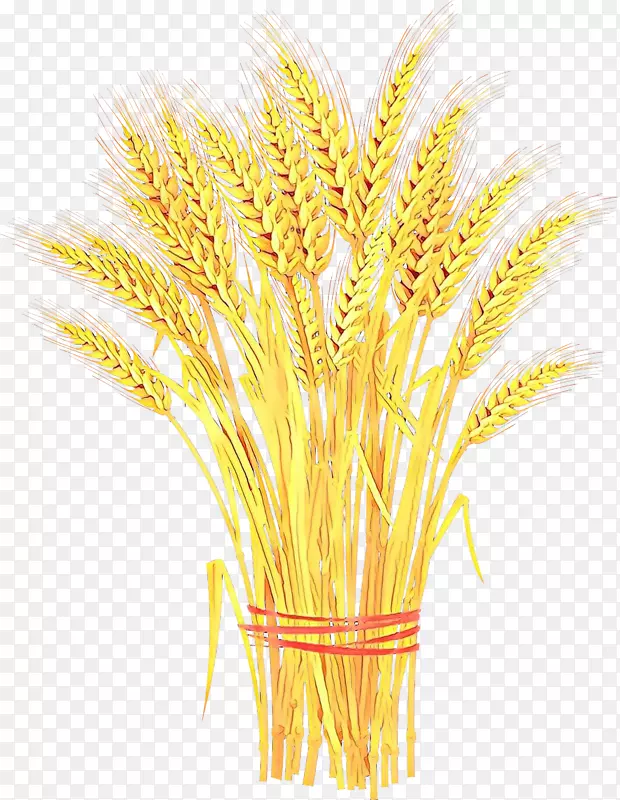 小麦剪贴画图形麦片