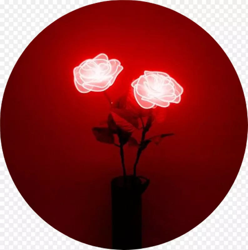霓虹灯点亮红色霓虹灯-美丽的玫瑰花