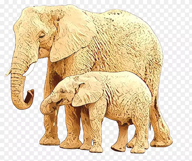 非洲象印度象陆生动物