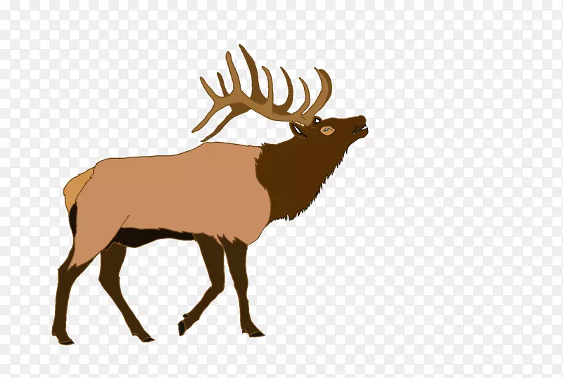 麋鹿插图图形驼鹿-麋鹿剪影PNG驼鹿轮廓