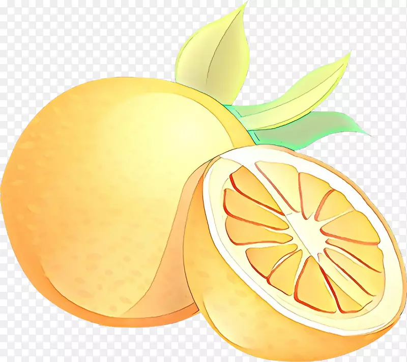 柠檬柚子苦橙