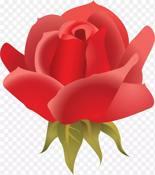 花园玫瑰图片png图片插花艺术-情人节剪影PNG玫瑰