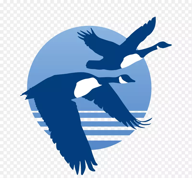 加拿大鹅夹艺术鸟鹰-鹅轮廓PNG加拿大鹅