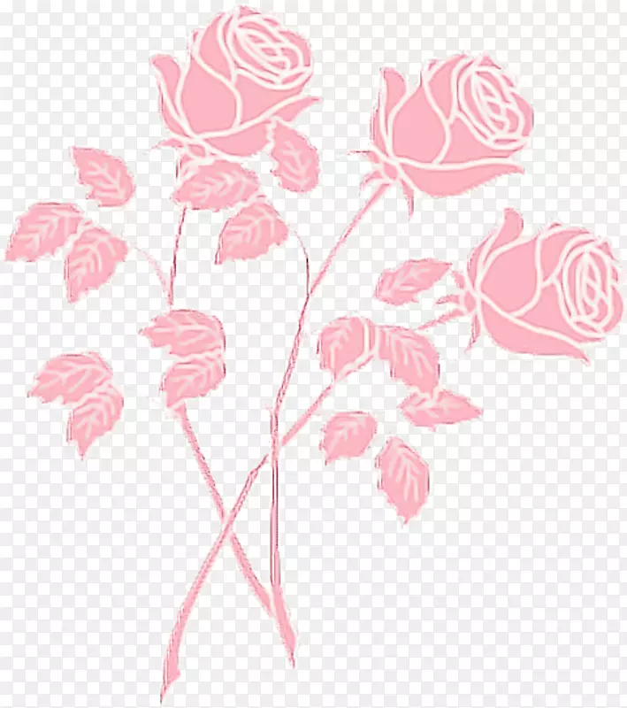 剪贴画玫瑰粉红色png图片绘图-美学绘图PNG玫瑰