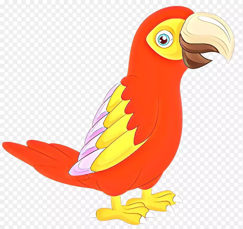 金刚鹦鹉喙羽毛卡通动物