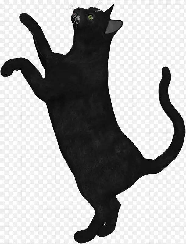 黑猫剪贴画png图片猫PNG下载