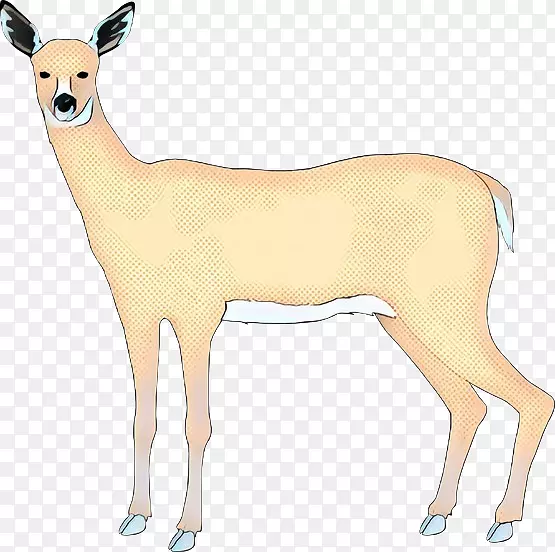 驯鹿白尾鹿