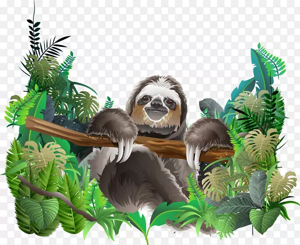 树懒丛林剪贴画图形插图-热带雨林生态系统
