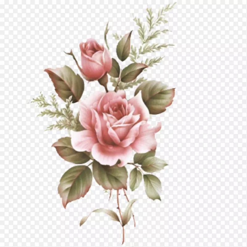 花画玫瑰插图图片-画玫瑰PNG铅笔