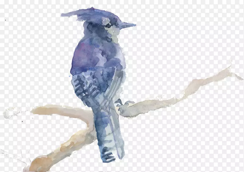 蓝鸟画夹艺术鸟嘴-狐狸PNG水彩画