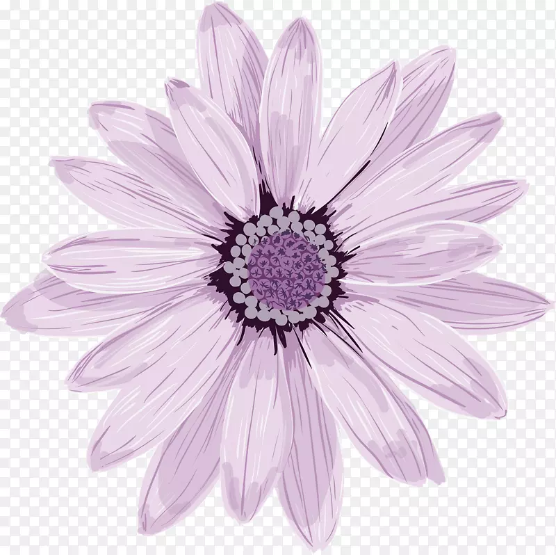 花卉图形png图片艺术图像透明花PNG紫色