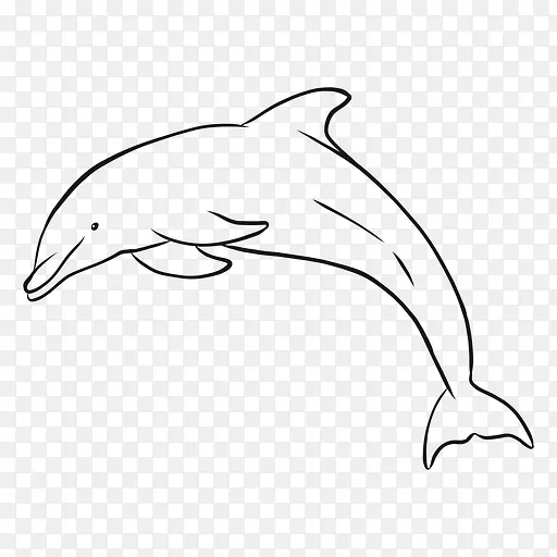 常见宽吻海豚图库溪画图-海豚画PNG跳跃