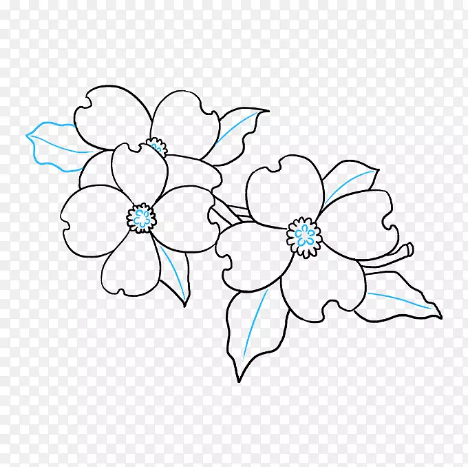 开花山茱萸画花瓣-如何画出一朵花
