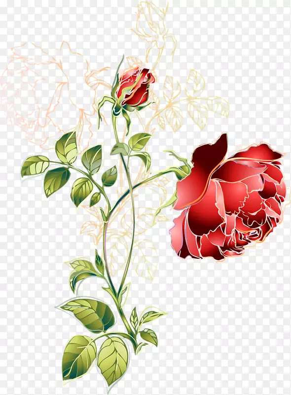 花园玫瑰花卷心菜绘制png图片.花卉绘图PNG pngkey