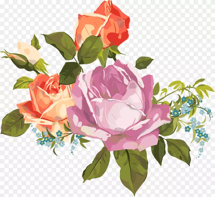 花园玫瑰花花园水彩画卷心菜玫瑰透明PNG花束
