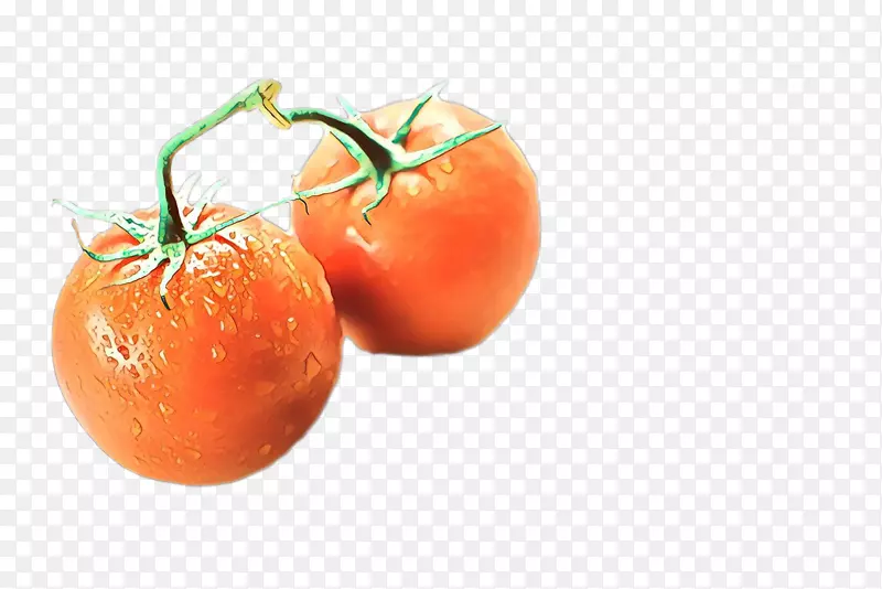 李子番茄灌木番茄食品橘子